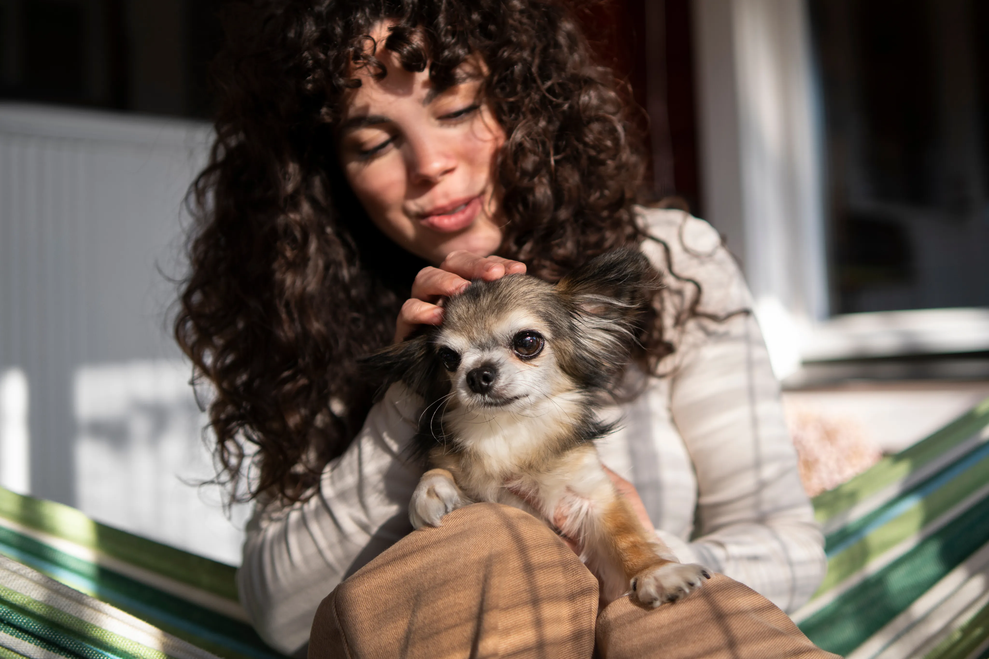 Post do Instagram @memorialpetstar