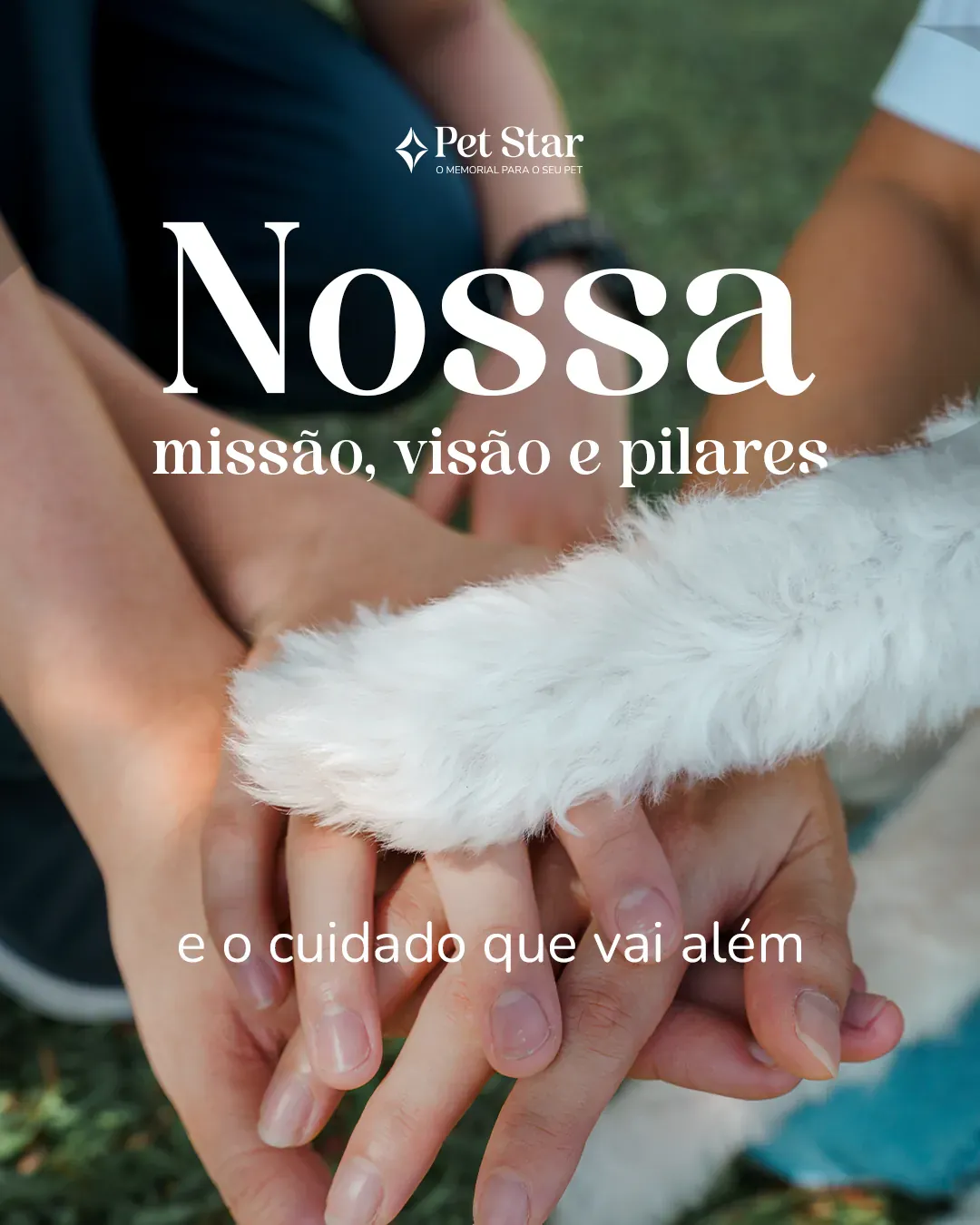Post do Instagram @memorialpetstar